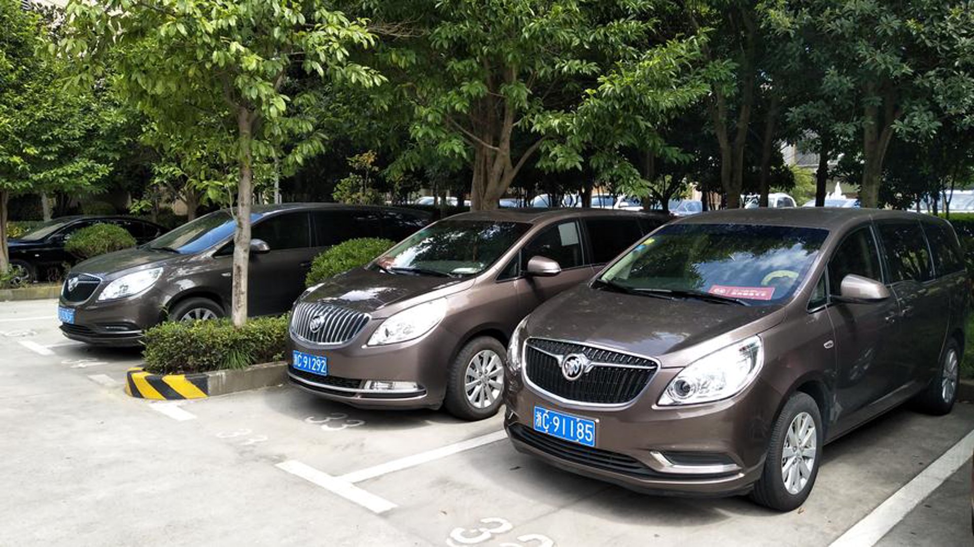 岁博租车